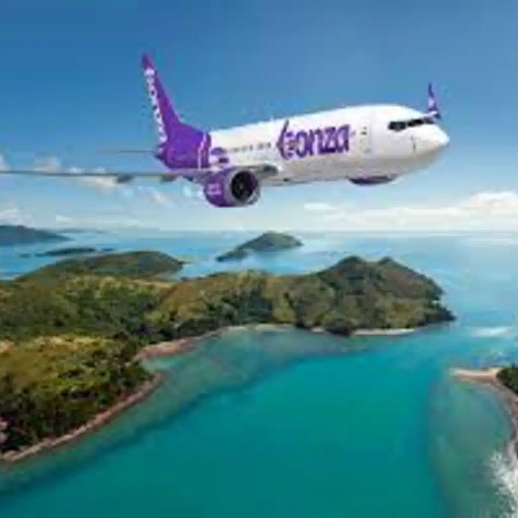 Hope for Bonza as parties show interest in the airline's takeover