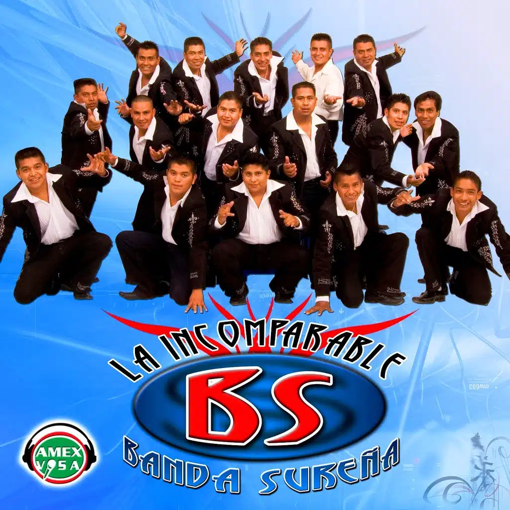 Puros Éxitos, Vol. 2 (La Incomparable)