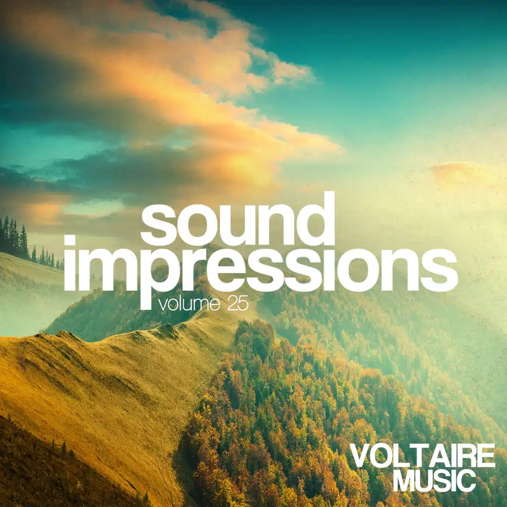 Sound Impressions, Vol. 25