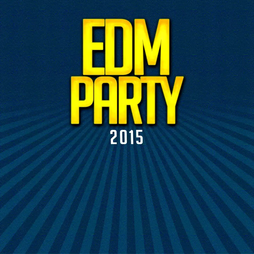 EDM Party 2015