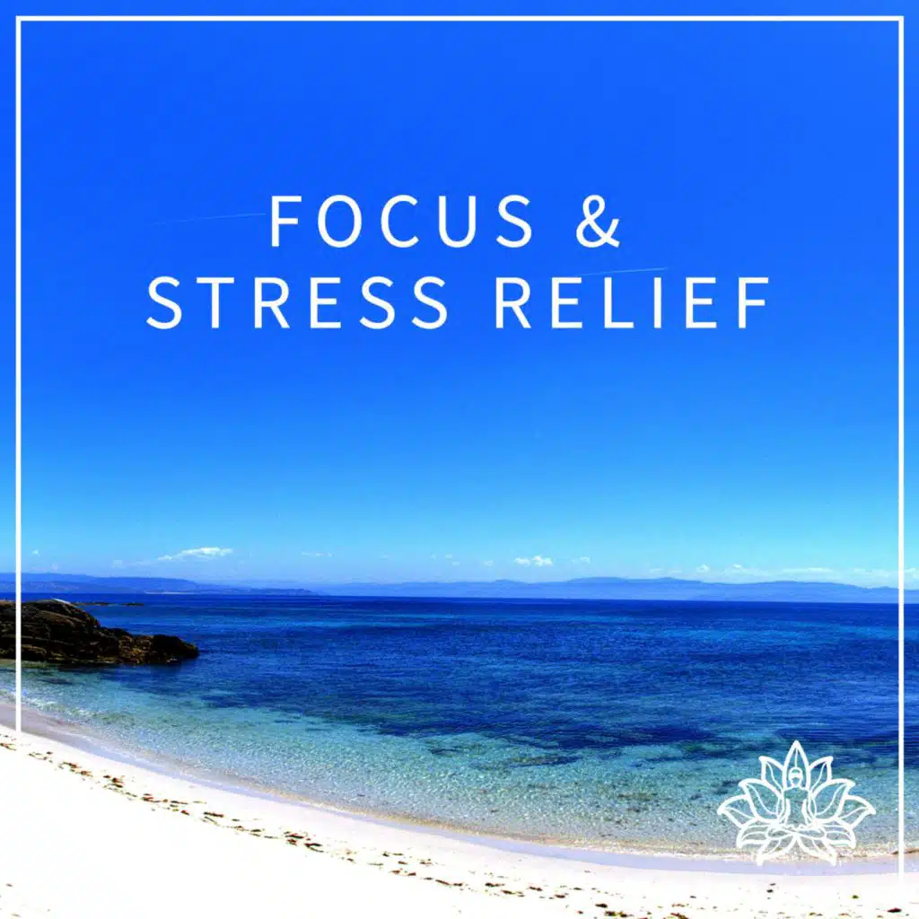 Focus & Stress Relief - 15 Minute Guided Meditation 😎