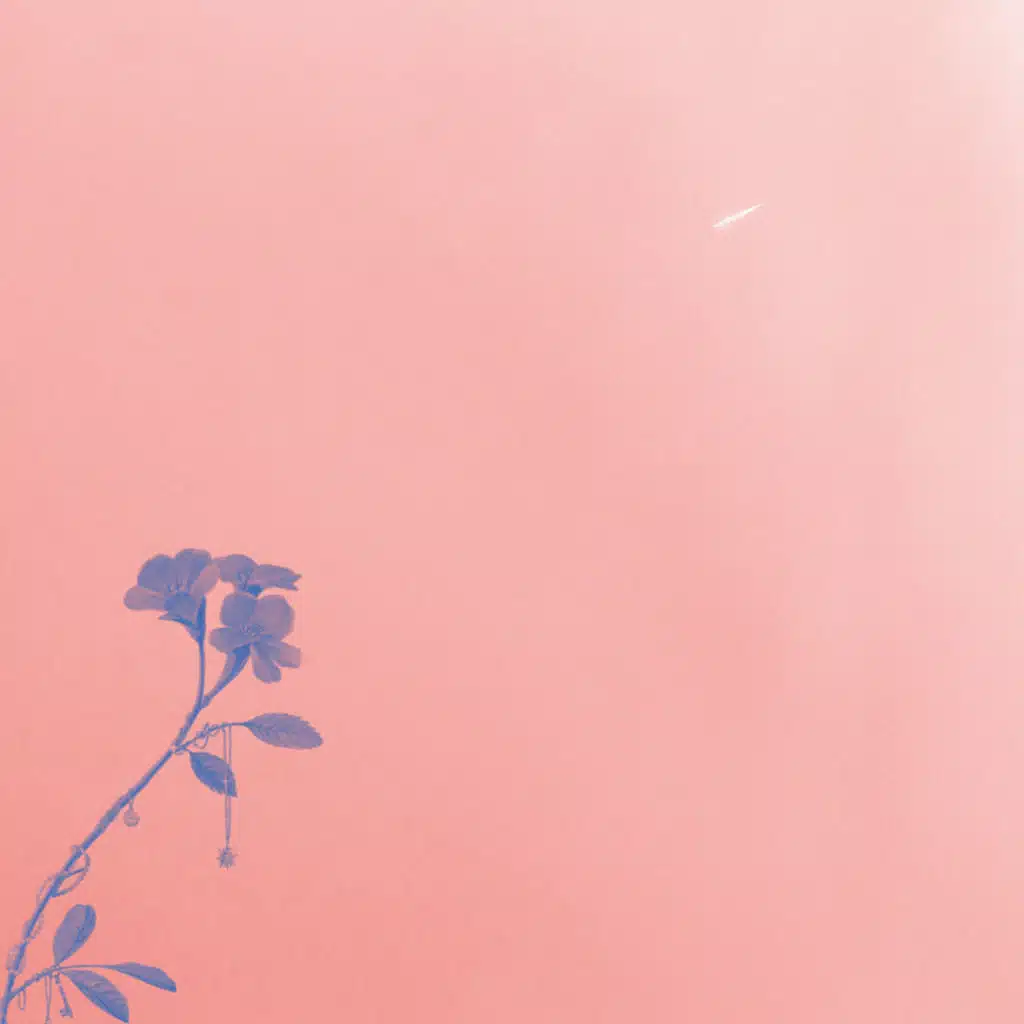 Aurora ((Deluxe Edition))