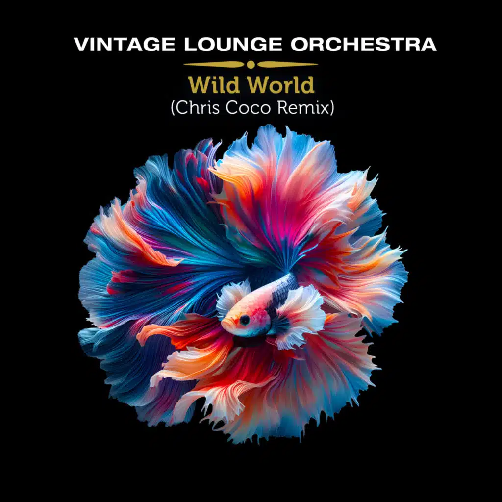 Vintage Lounge Orchestra