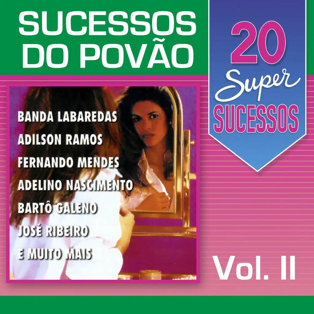 20 Super Sucessos Povão, Vol. 2