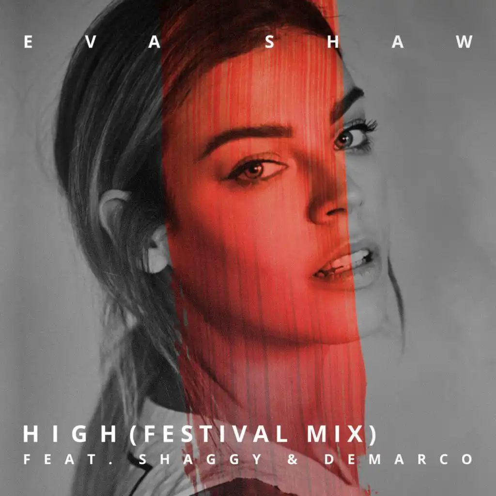 High (feat. Shaggy & Demarco) (Festival Mix)