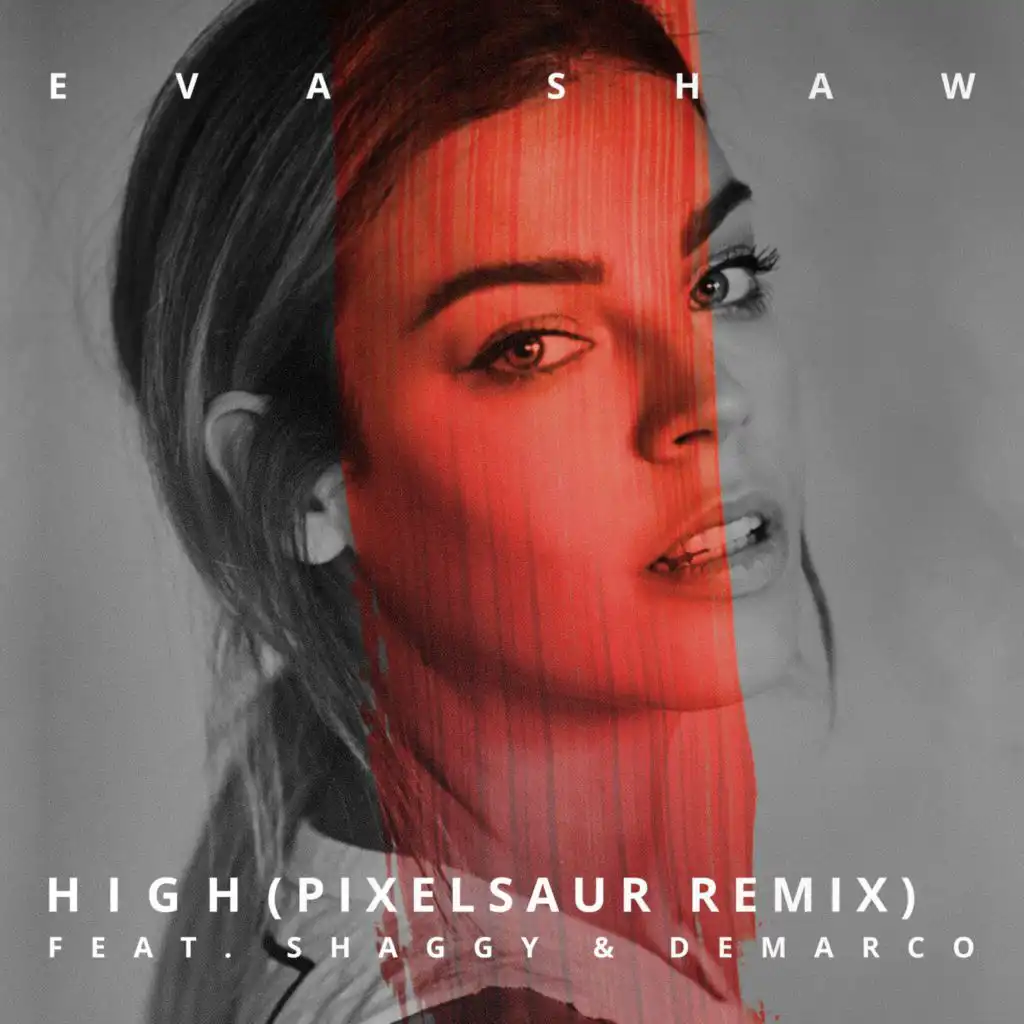 High (feat. Shaggy & Demarco) (Pixelsaur Remix)