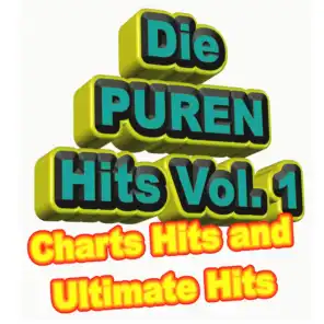Die Puren Hits Vol. 1 - Charts Hits and Ultimate Hits 2015 & 2016