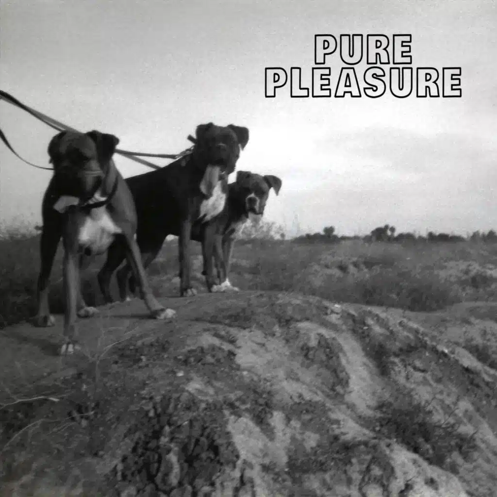 Pure Pleasure