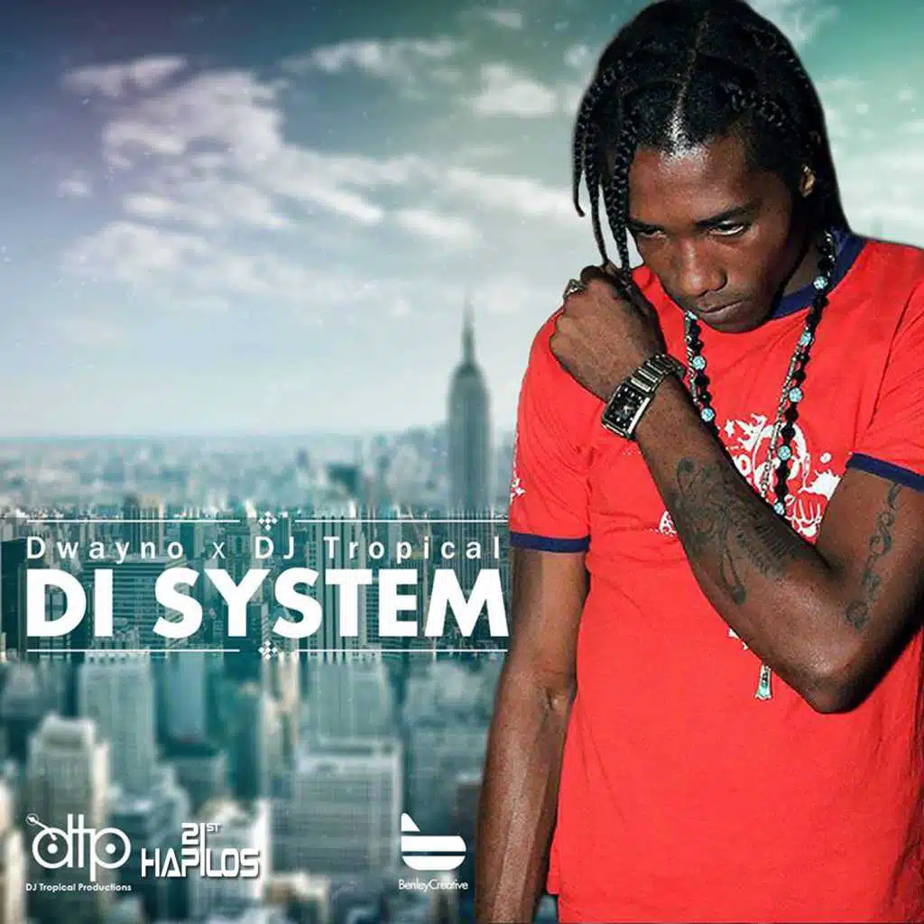 Di System