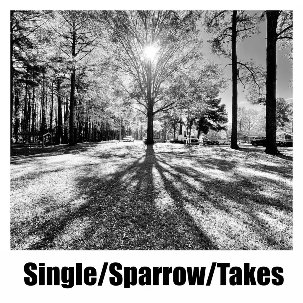 Michael Collins (Live from my attic)