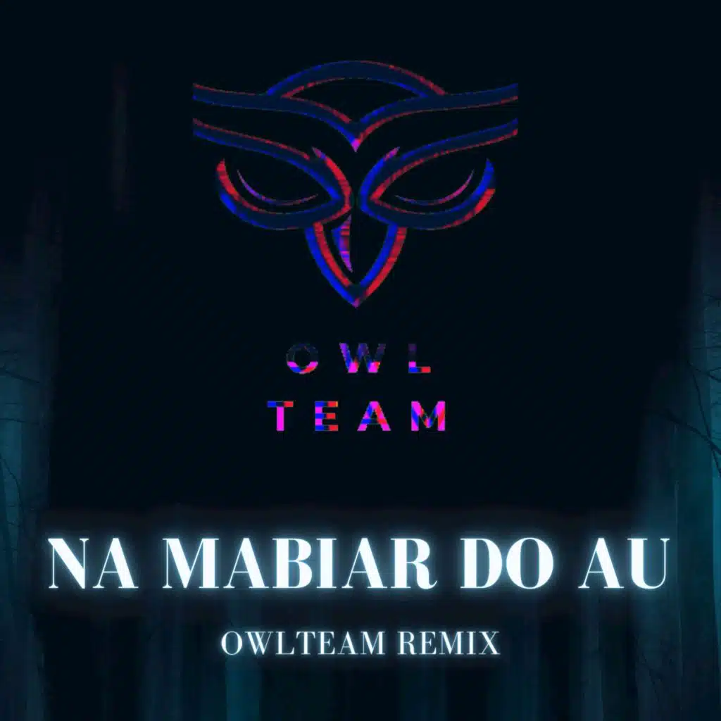 Owl_Team