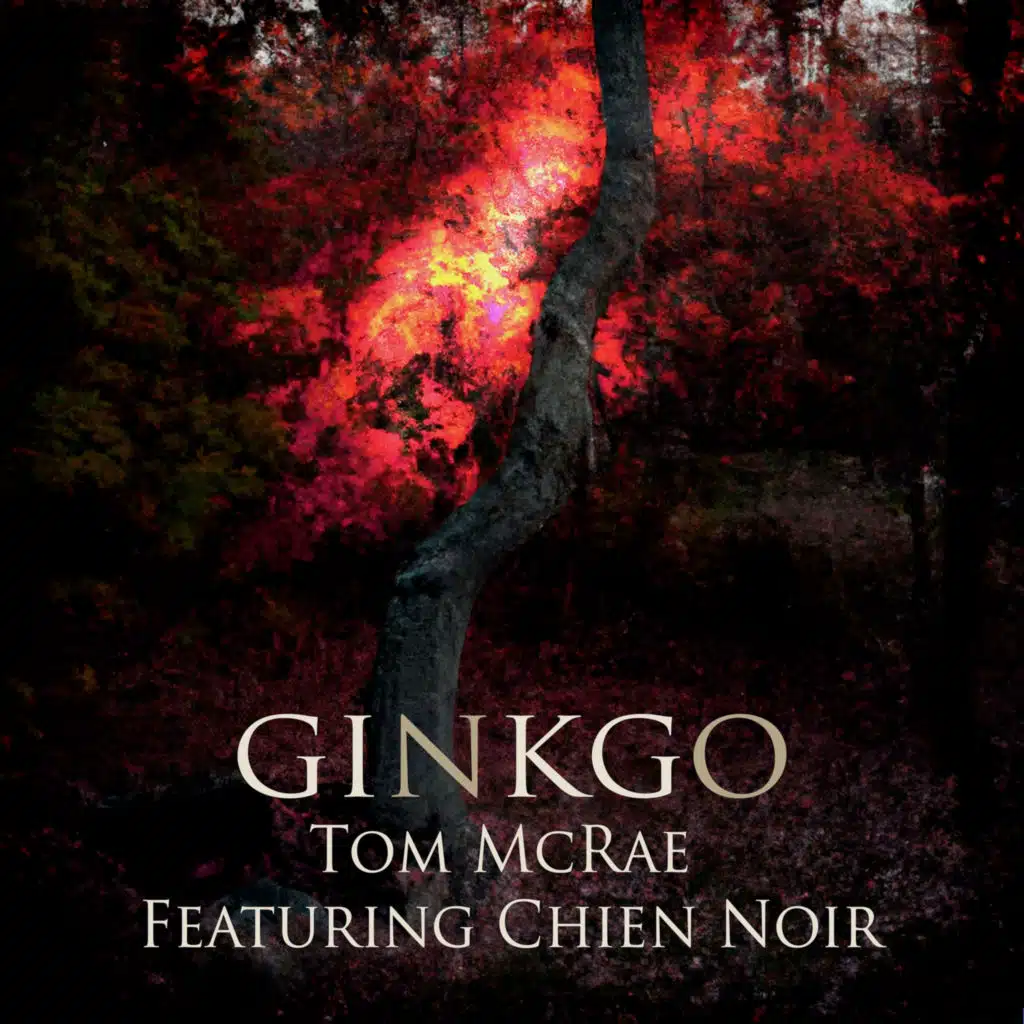 Ginkgo (feat. chien noir)