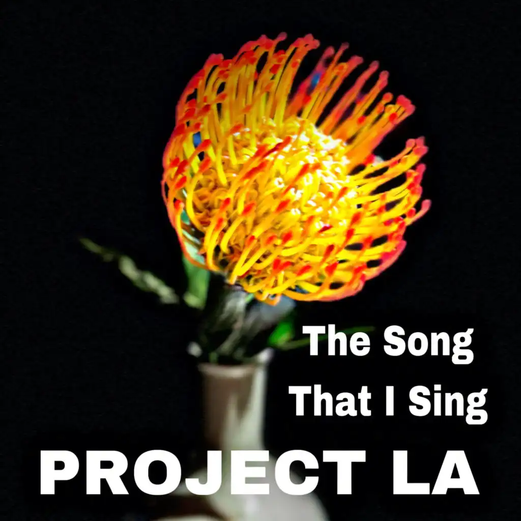 Project LA