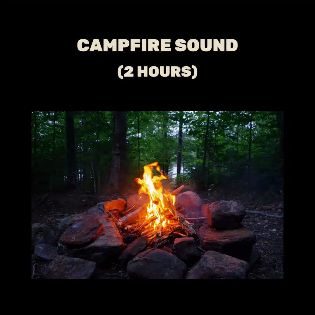 Campfire Sound (2 Hours) Forest Campfire and Wet Wood Burning Sounds