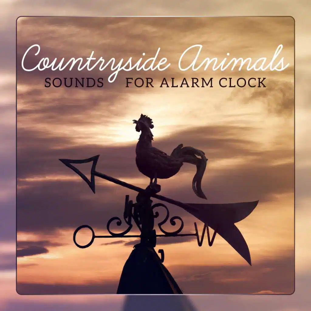 Countryside Animals - Sounds for Alarm Clock