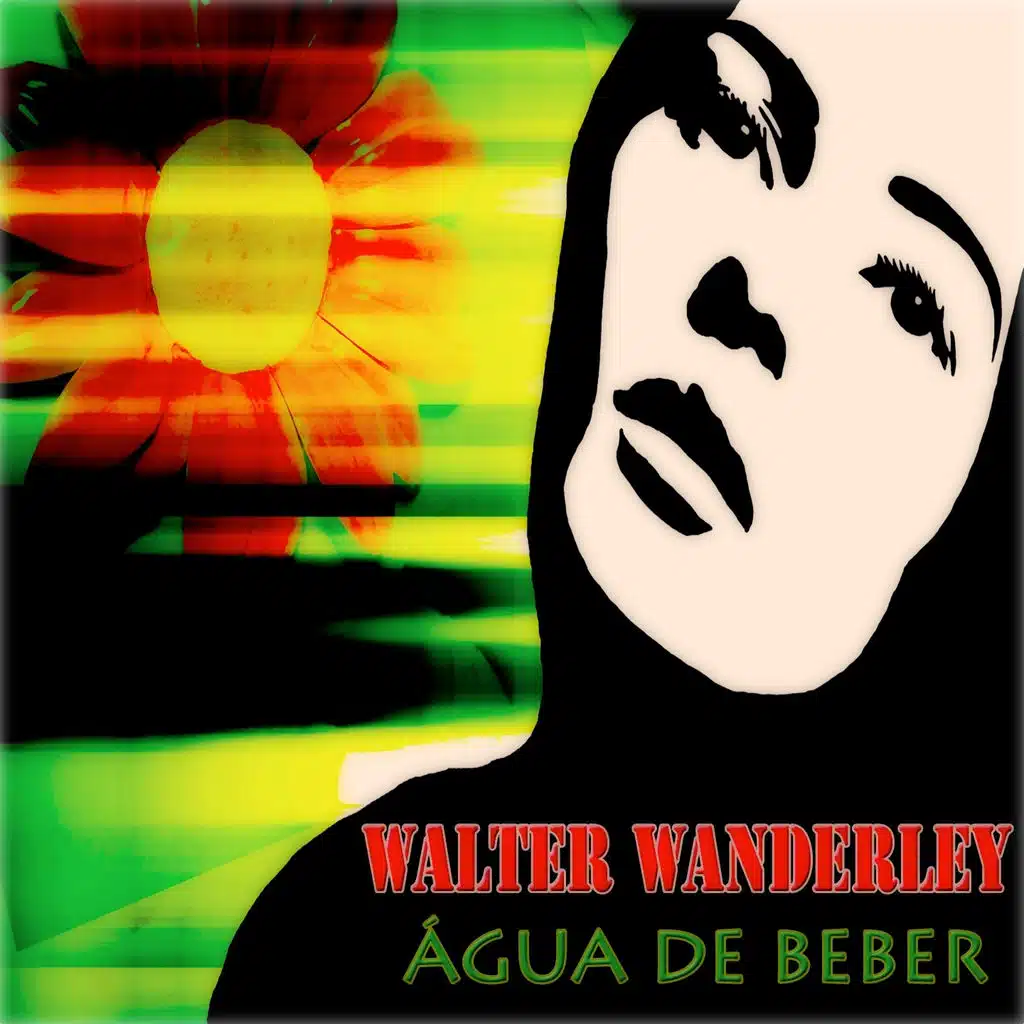 Meditaçao (ft. Walter Wanderley)