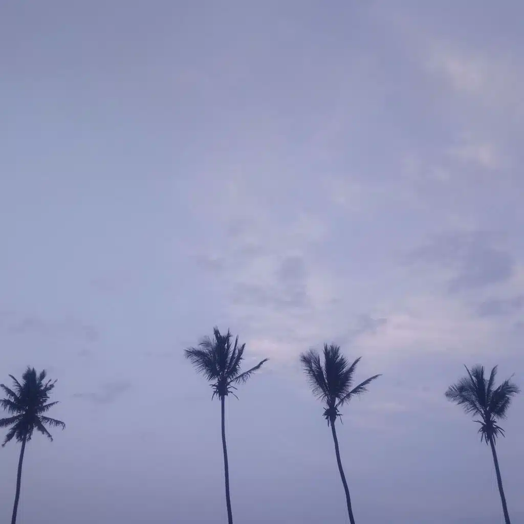 Johnny Katharsis & Testa