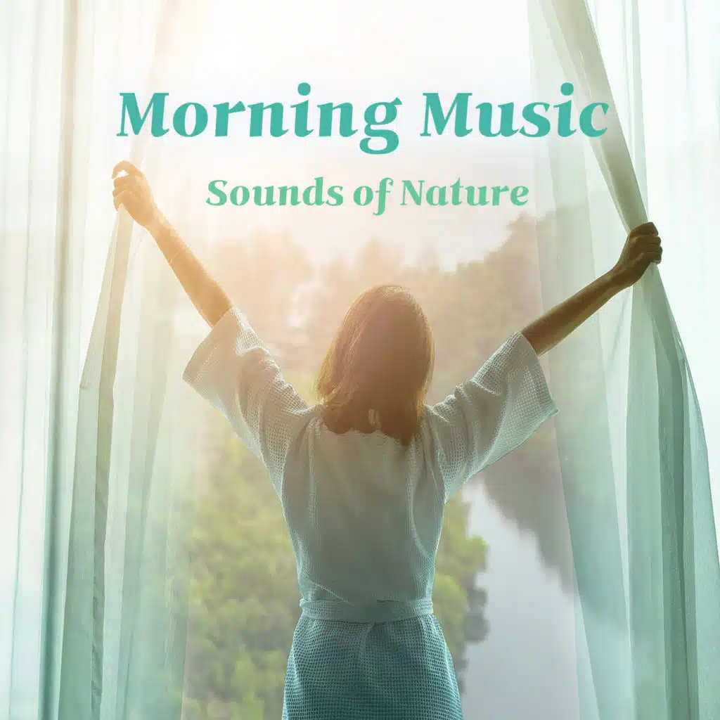 개울가의 나비 (하프) (시냇물소리)