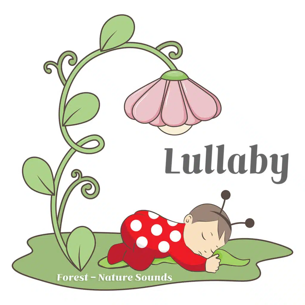 편안한 숲속의 오르골 자장가