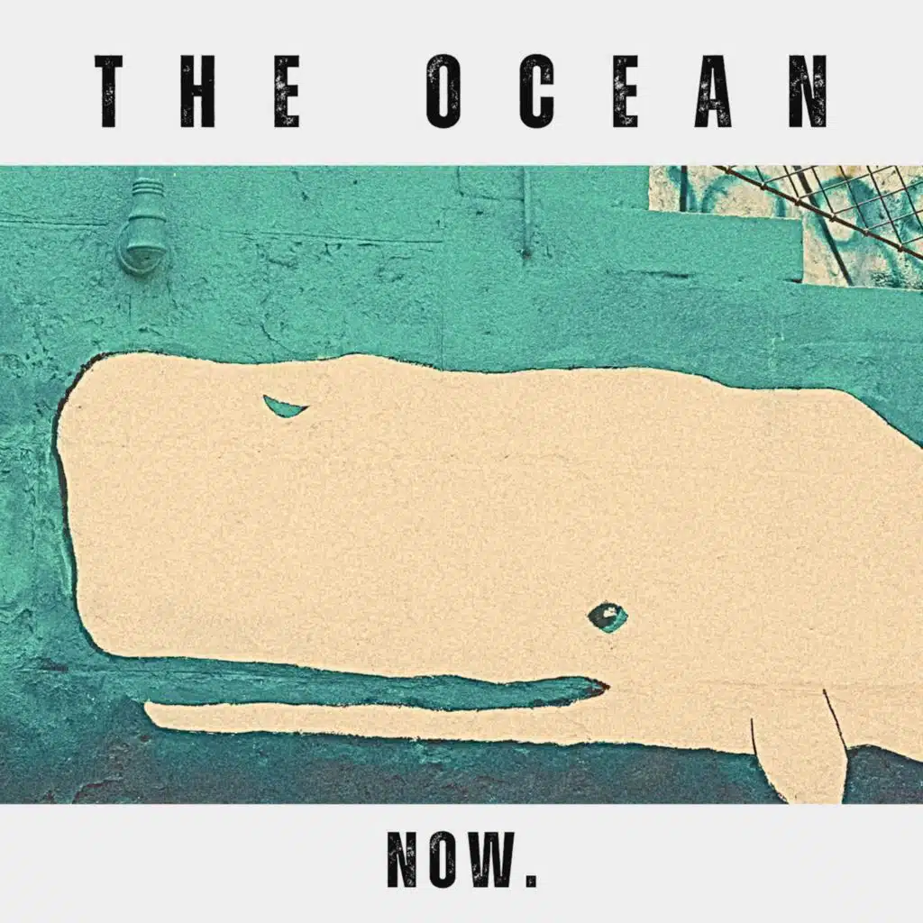 The Ocean (Radio Edit)