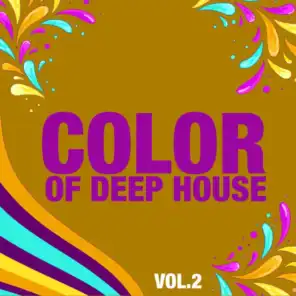 Color of Deep House, Vol. 2