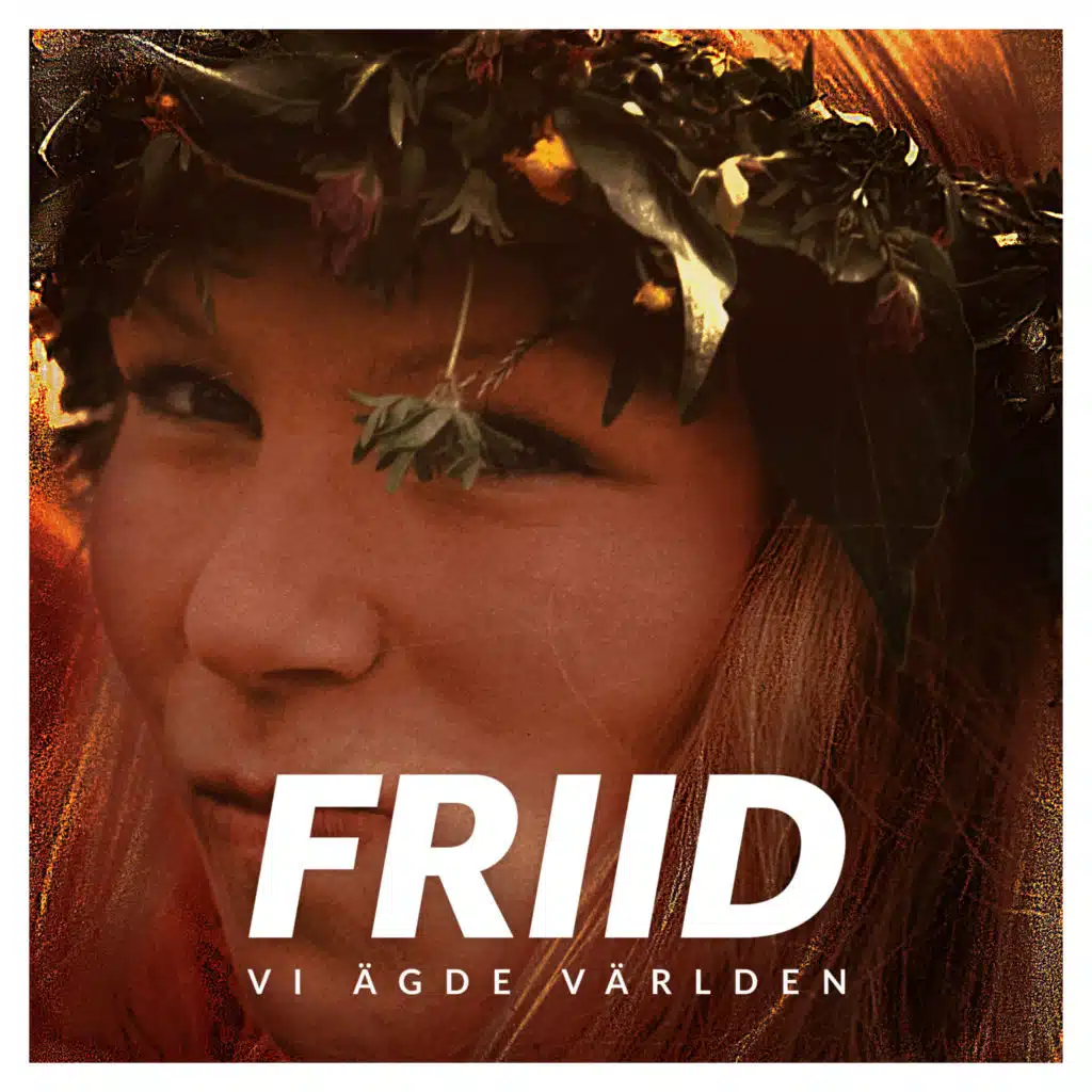 Vi ägde världen (Instrumental Version)