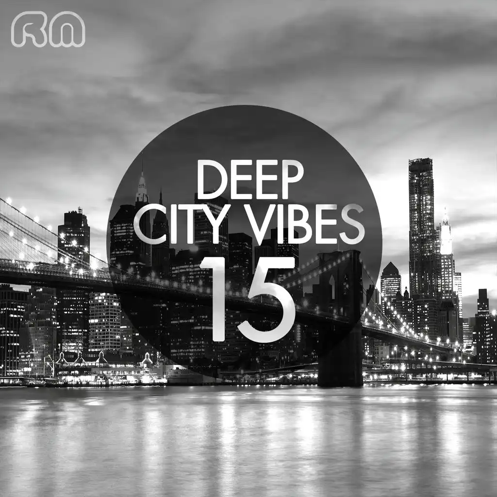 Deep City Vibes, Vol. 15