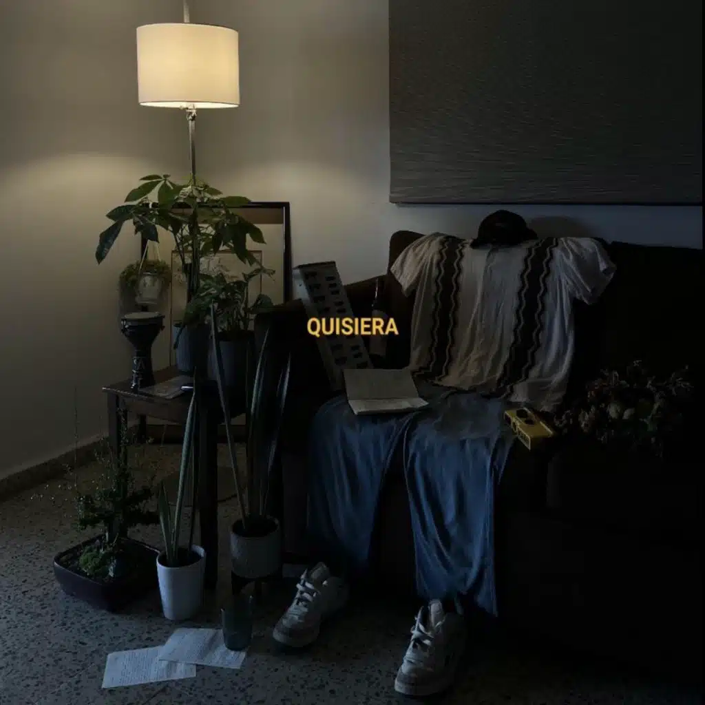 Quisiera