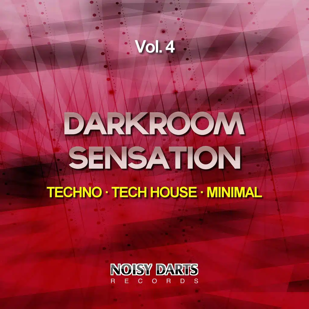 Darkroom Sensation, Vol. 4 (Techno - Tech House - Minimal)