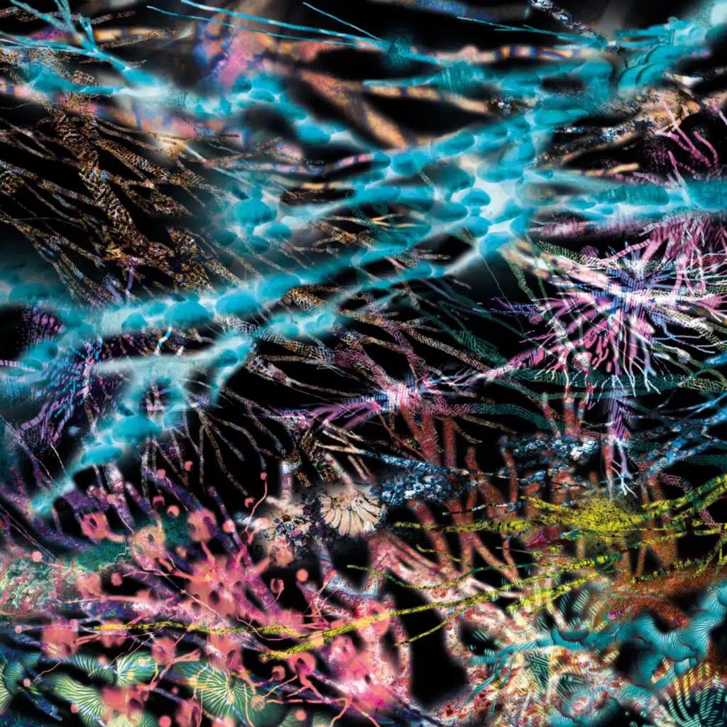 Finesse (Jam Down Version)