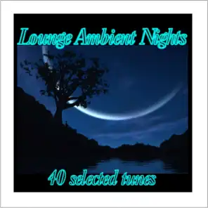 Lounge Ambient Nights (40 Selected Tunes)