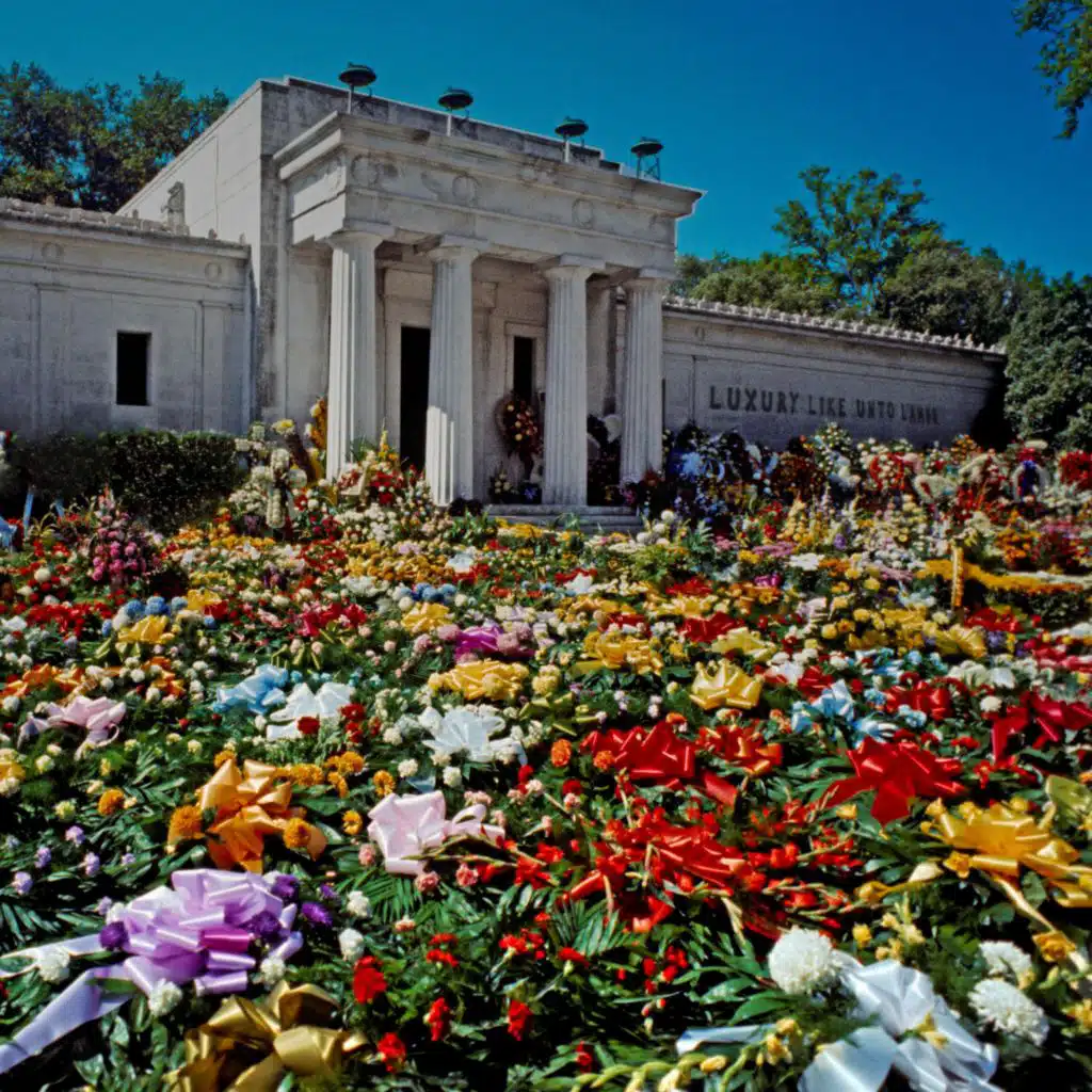 The Wilderness (The Color Of Gold)