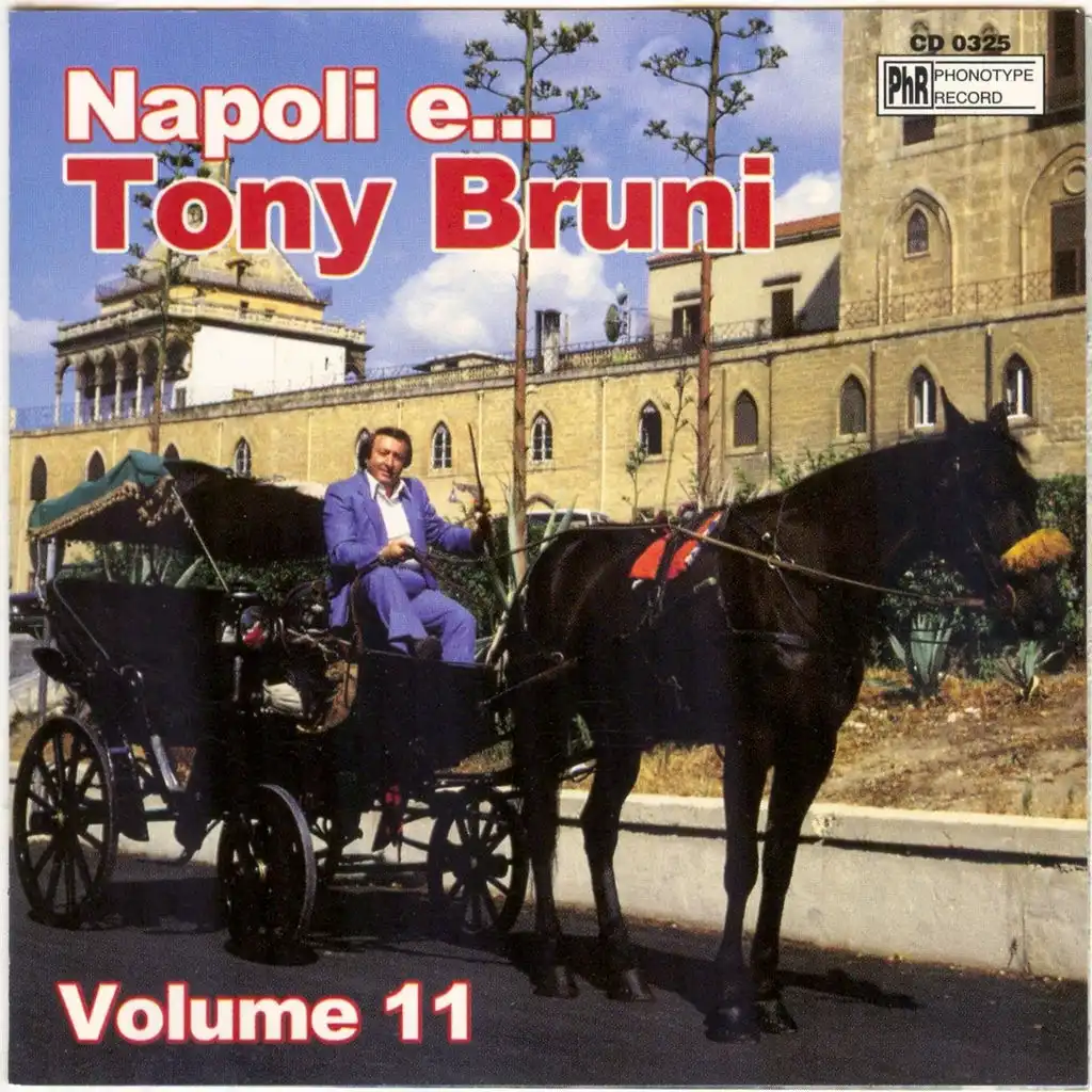 Napoli e...Tony Bruni, vol. 11