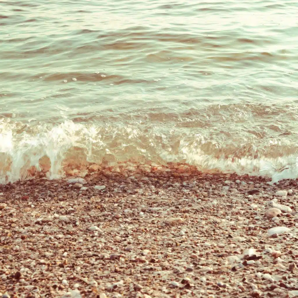 Templars of the Wasted