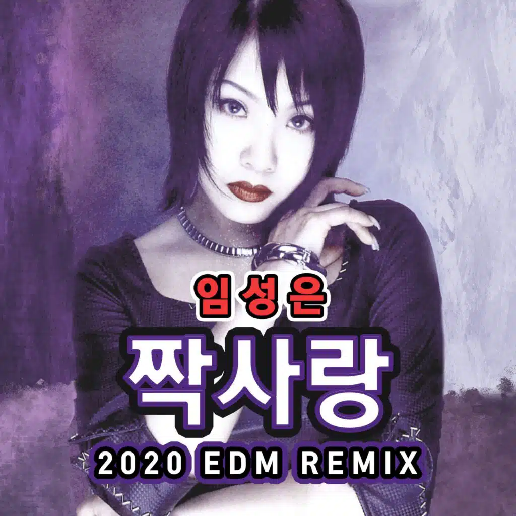 짝사랑 (2020 EDM Remix)