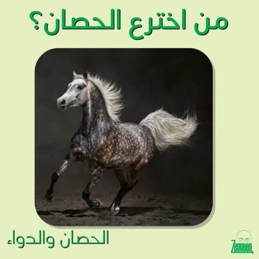 Zengeen+ Live S2 E53 || من اخترع الحصان؟