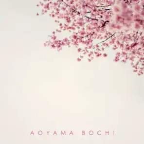Aoyama Bochi