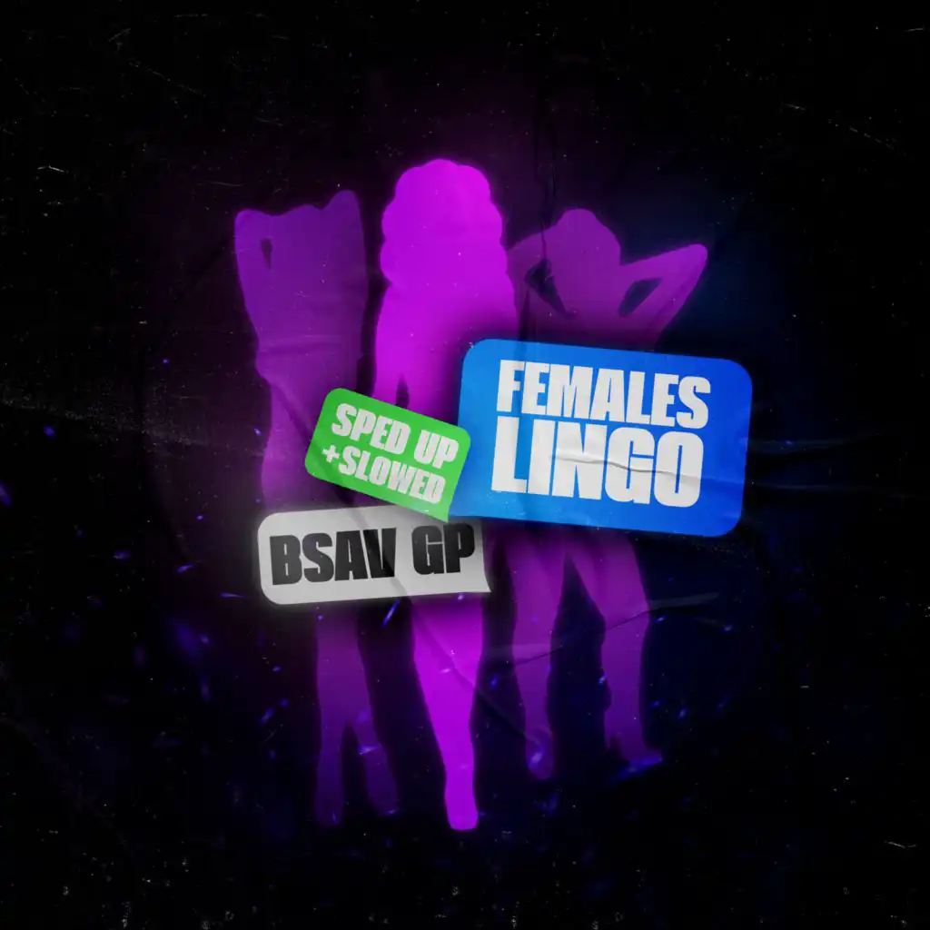 Females Lingo (Slowed + Reverb)