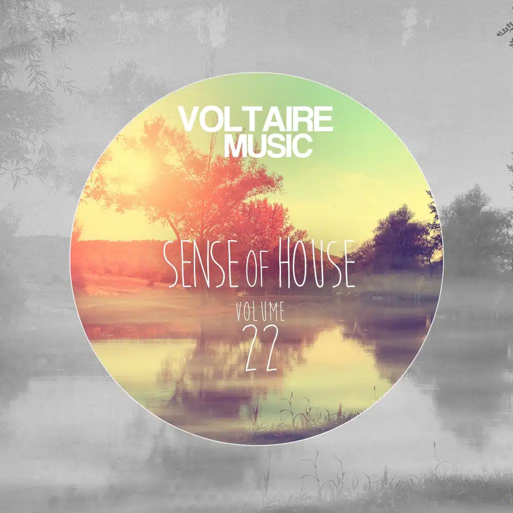 Good Mood (The Mekanism Remix) [feat. Shanyana]