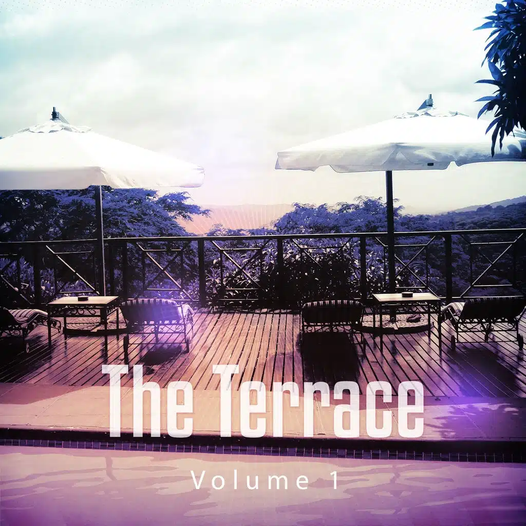 The Terrace, Vol. 1 (Relaxed and House-Inspired Tunes from the Hotel Terrace )