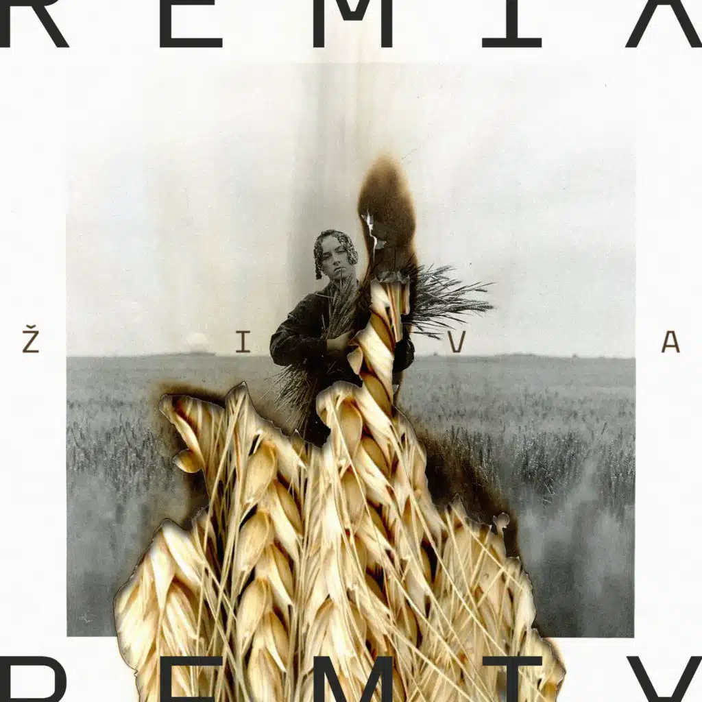 Živa (Remix)