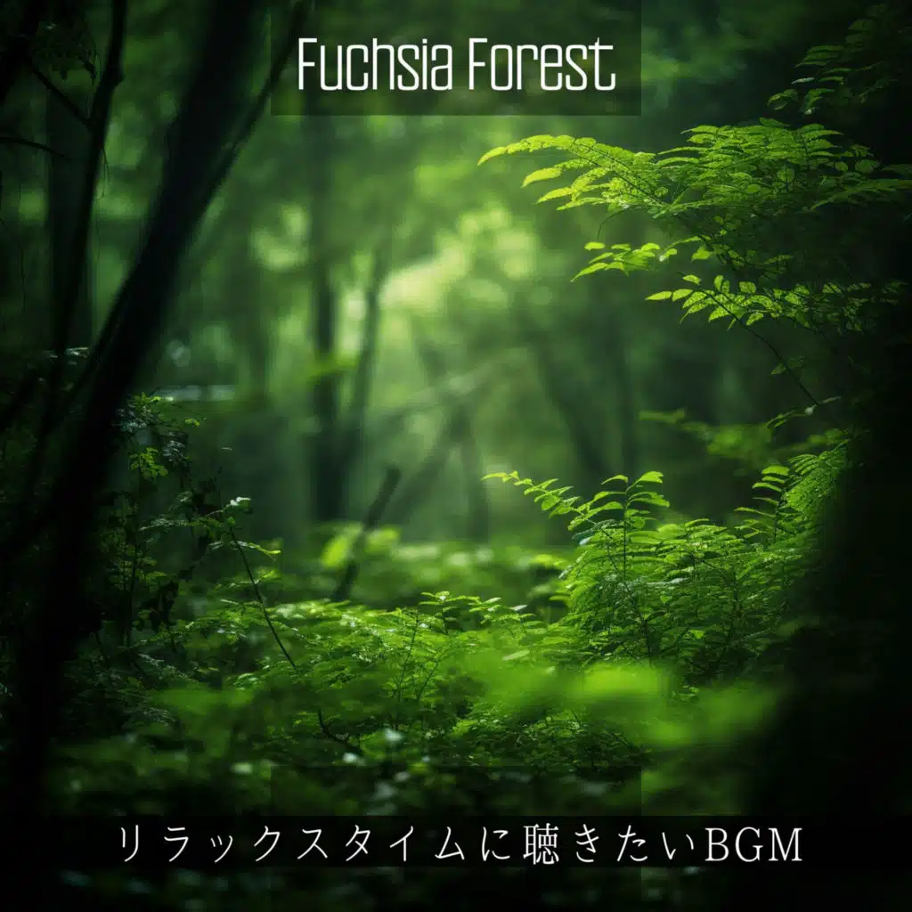 リラックスタイムに聴きたいBGM