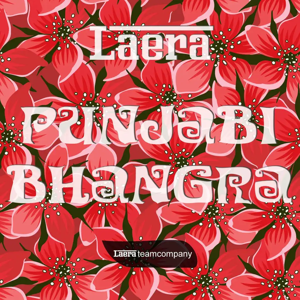 Punjabi Bhangra (Splashfunk Mix)