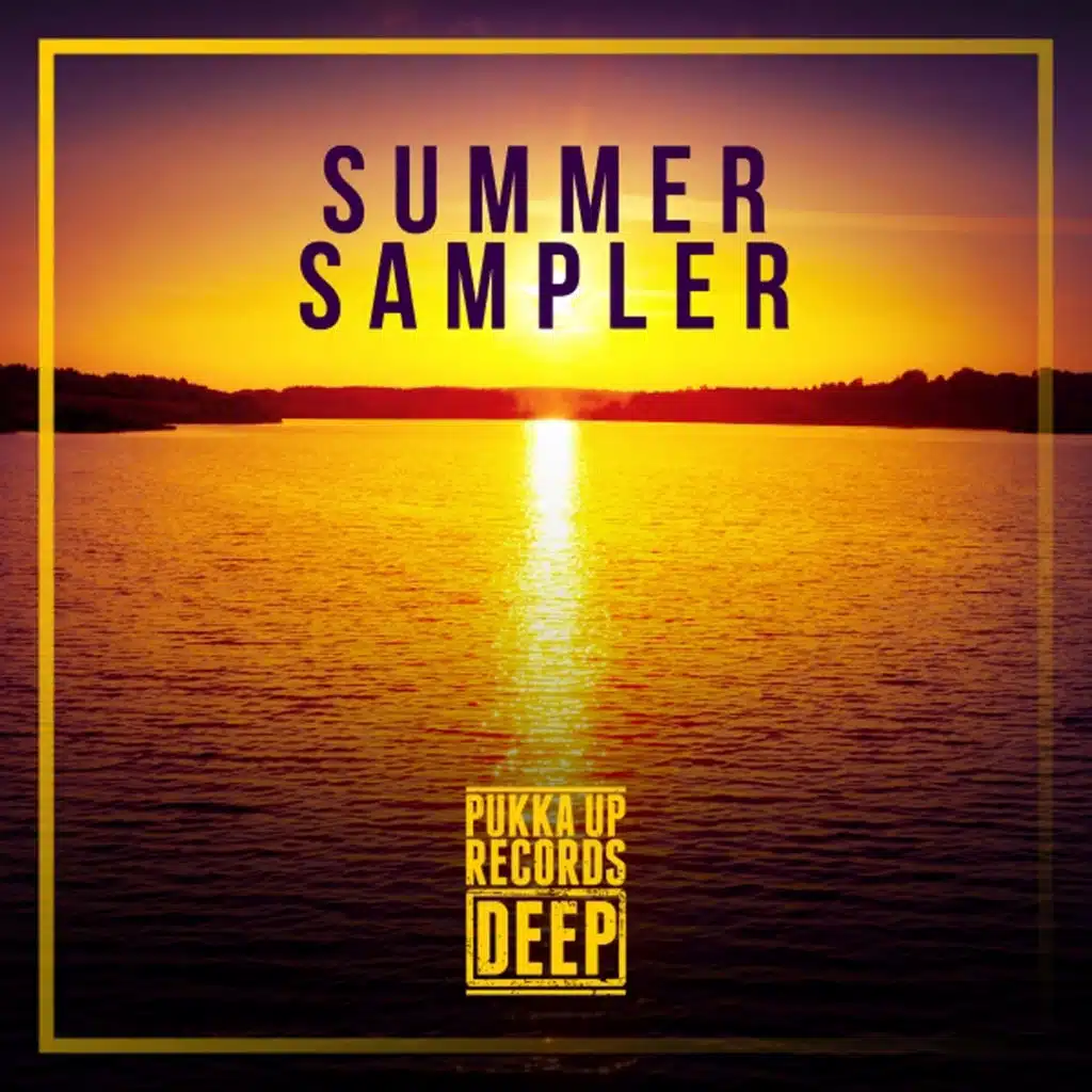 Summer Sampler (Pukka up Records Deep)