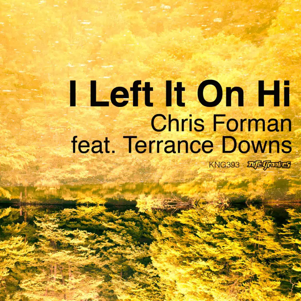 I Left It on Hi (Beyond Real Instrumental) [feat. Terrance Downs]