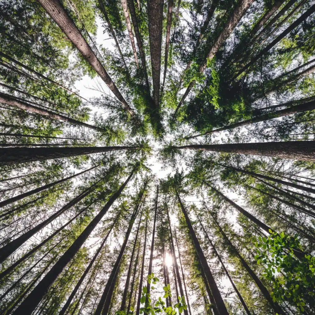 Conjuration of Atonement