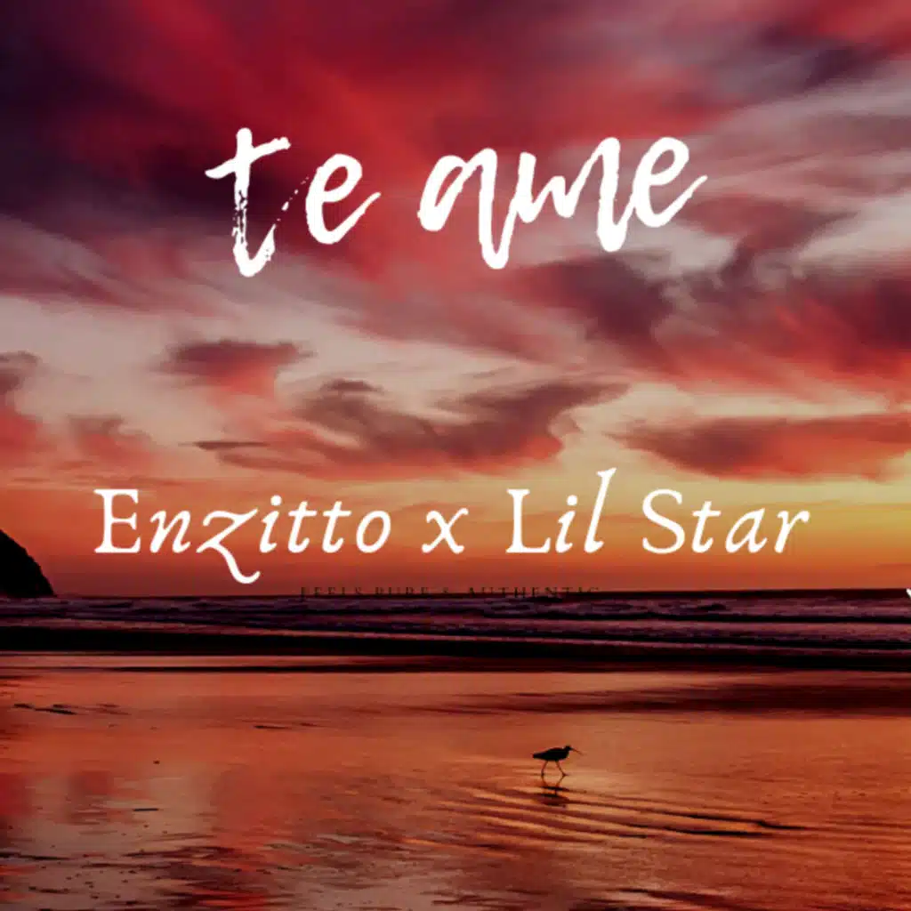 Te Ame (feat. Lil Star)