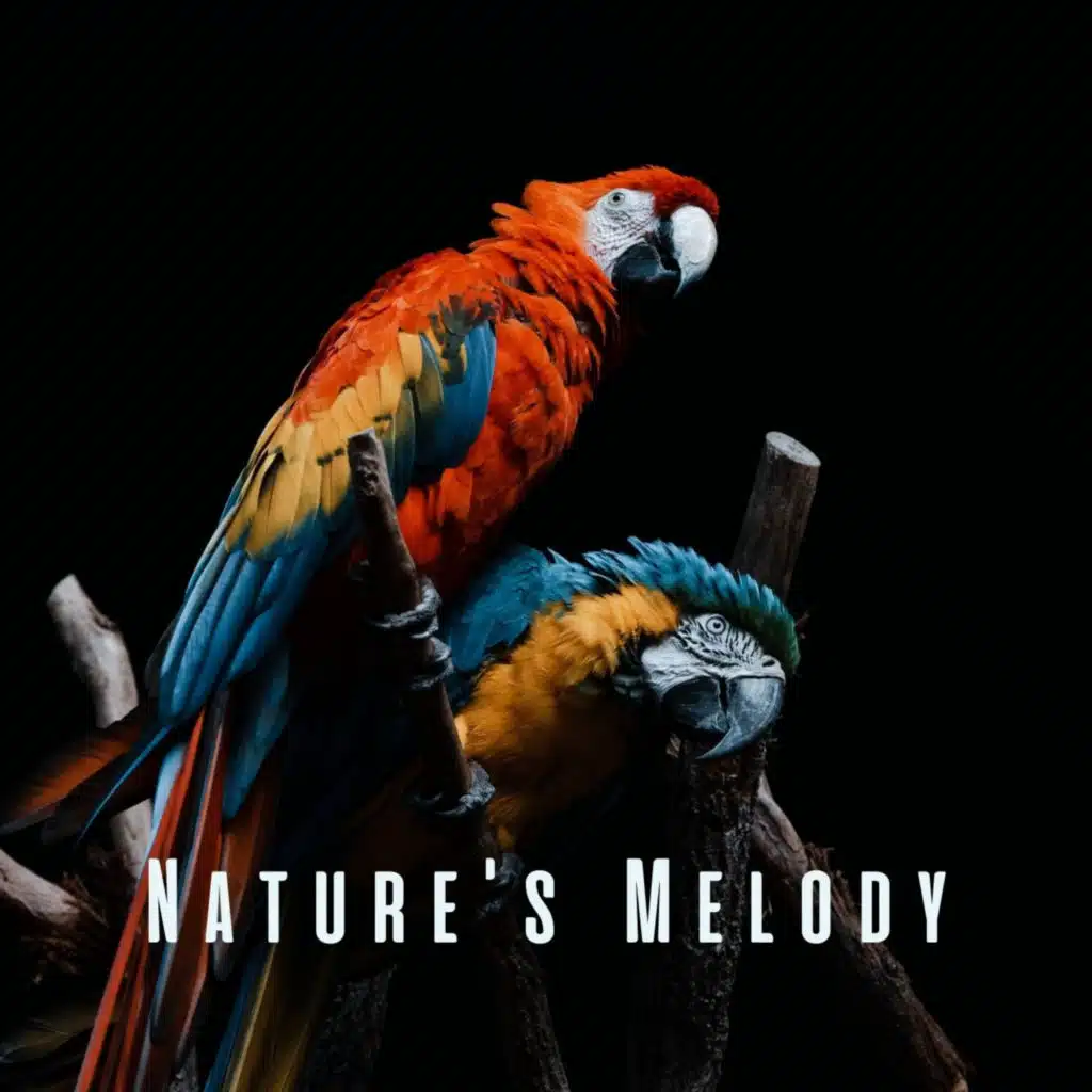 Nature's Melody: Tranquil Bird Sounds for Meditation