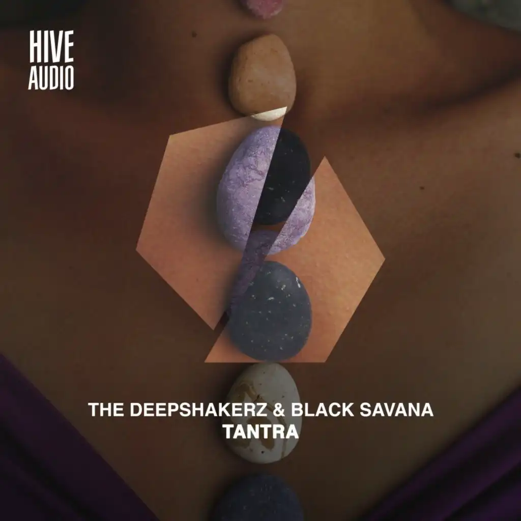The Deepshakerz & Black Savana