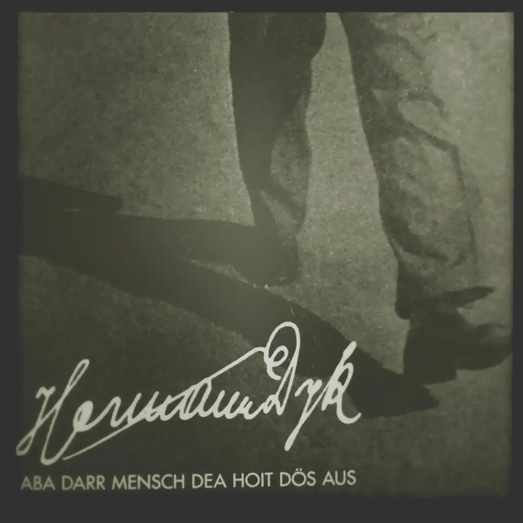 ABA DARR MENSCH DEA HOIT DÖS AUS (feat. Illy van Dyk)